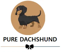 DogsAdorable